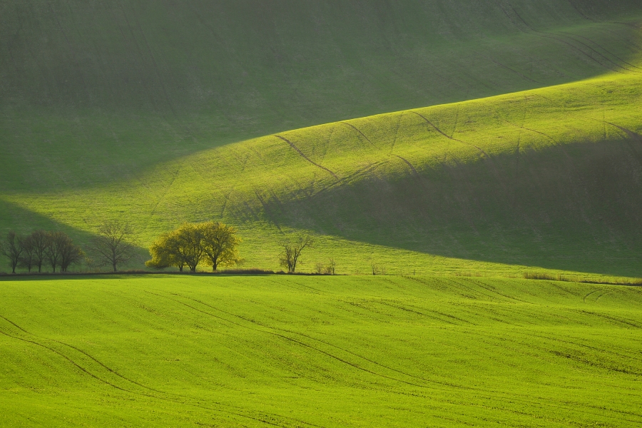 ca_morava_toskansko 900x600 3